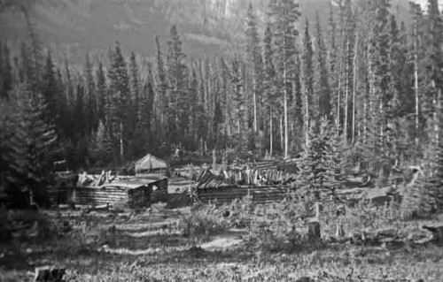 A Logging History of the Whirlpool Valley, Jasper National Park