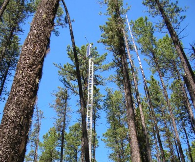 Comparison of understory burning and mechanical site preparation to regenerate lodgepole pine stands killed by MPB