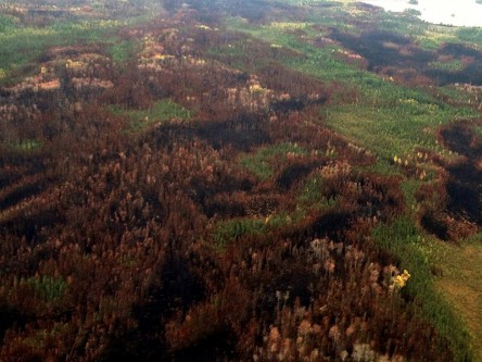 Historical Wildfire Burn Patterns at Sub-Landscape Scales
